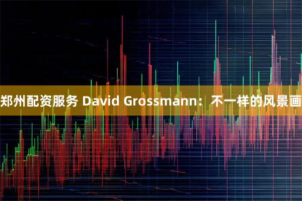 郑州配资服务 David Grossmann：不一样的风景画